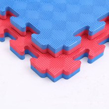 Patrón reversible Colorido Grappling Tatami Puzzle Mat